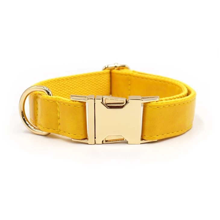 yellow handmade leather dog collars